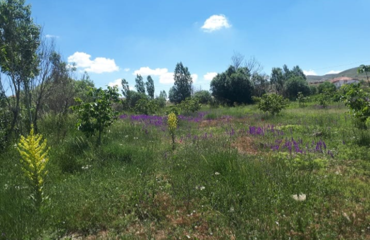 KORKUTELİ NEBİLER KÖY İÇİNDE ÜZERİNDE EV OLAN SATILIK TARLA