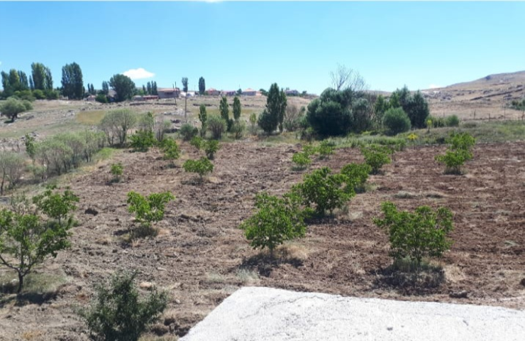 KORKUTELİ NEBİLER KÖY İÇİNDE ÜZERİNDE EV OLAN SATILIK TARLA