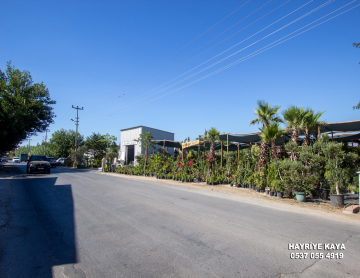 YALI CADDESİNDE DEVREN KİRALIK 4000M2 PEYZAJ SHOWROOMU