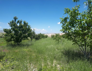 KORKUTELİ NEBİLER KÖY İÇİNDE ÜZERİNDE EV OLAN SATILIK TARLA