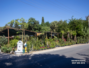 YALI CADDESİNDE DEVREN KİRALIK 4000M2 PEYZAJ SHOWROOMU