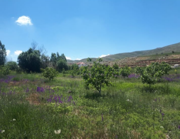 KORKUTELİ NEBİLER KÖY İÇİNDE ÜZERİNDE EV OLAN SATILIK TARLA